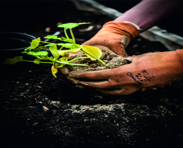 Horticulture