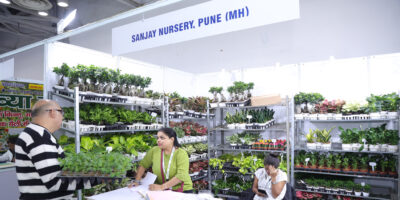 sanjay nursery