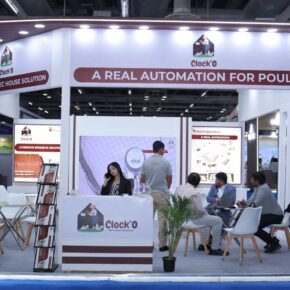 automation