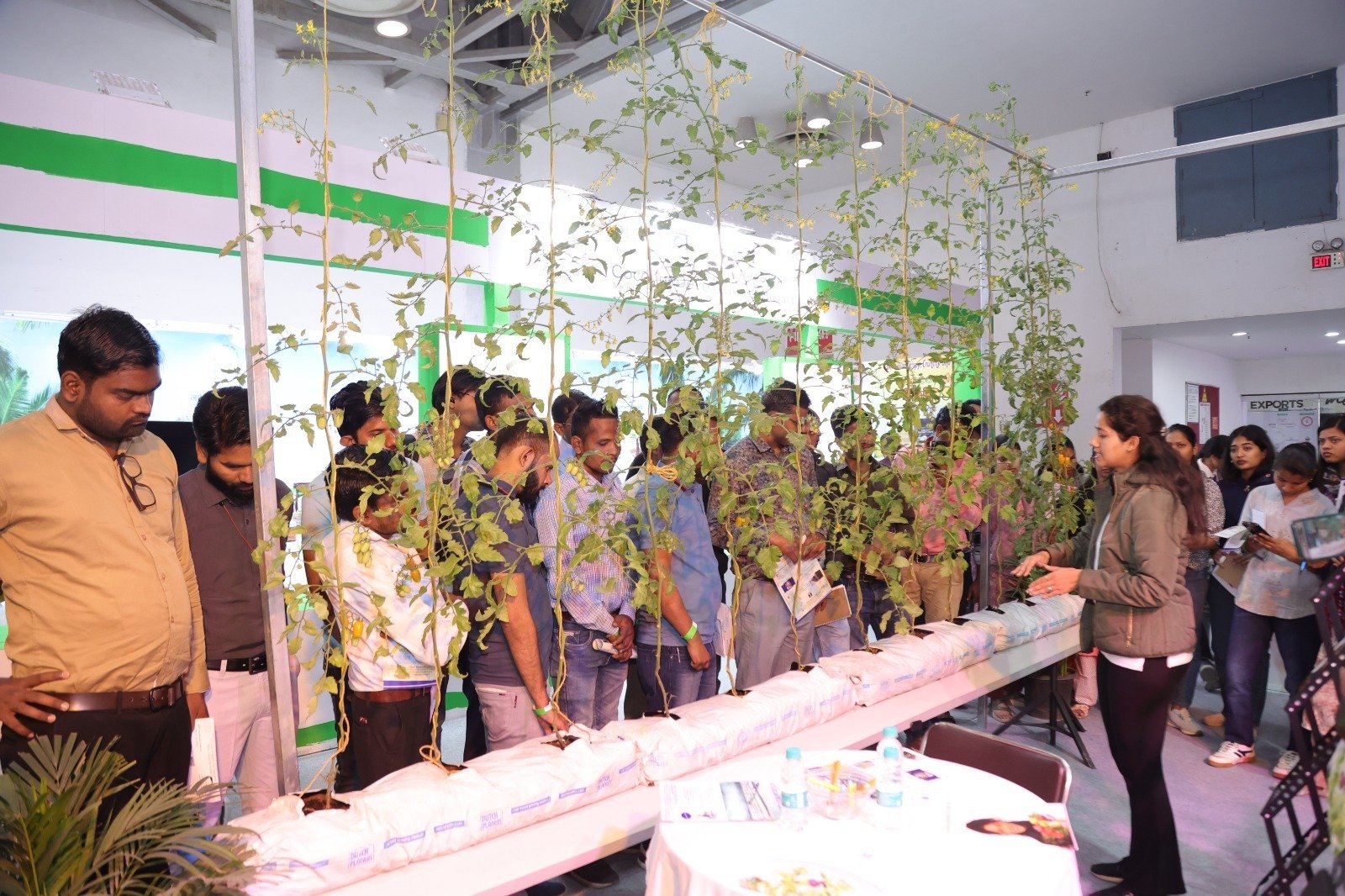 gallery-2