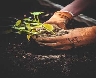 Horticulture
