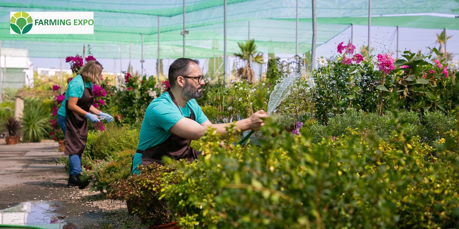 Seeds Biotechnology