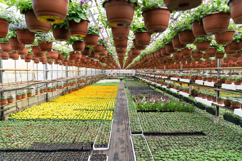 Precision Farming