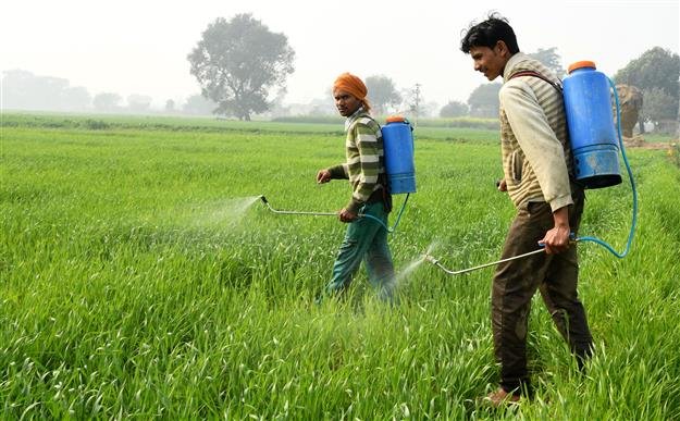 Irrigation